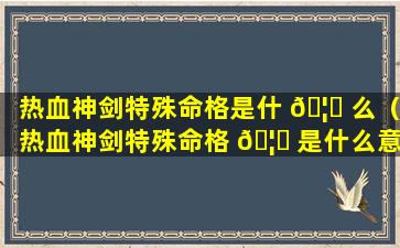热血神剑特殊命格是什 🦋 么（热血神剑特殊命格 🦄 是什么意思）